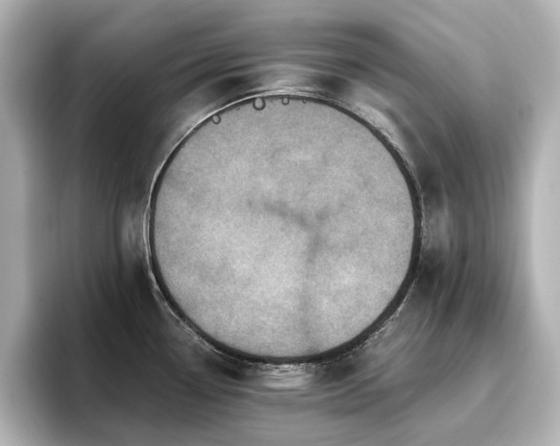 X0000096721338200802051434