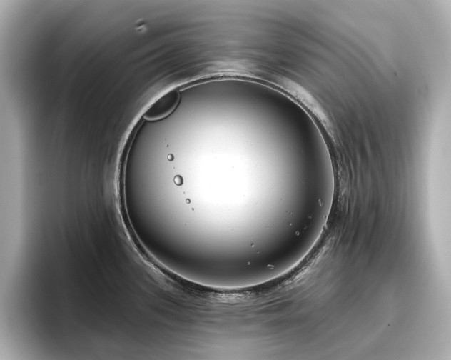 X0000096721339200802051435
