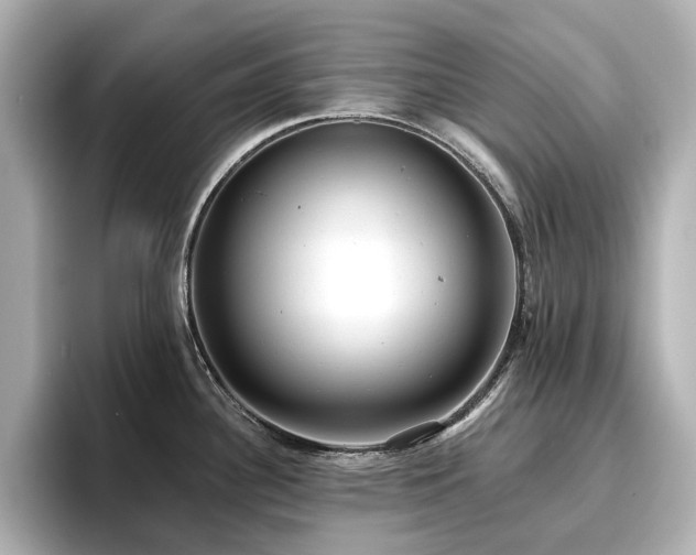 X0000096721340200802051435
