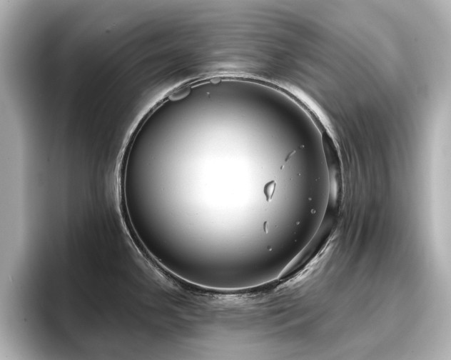 X0000096721341200802051435