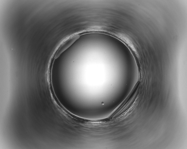 X0000096721342200802051435