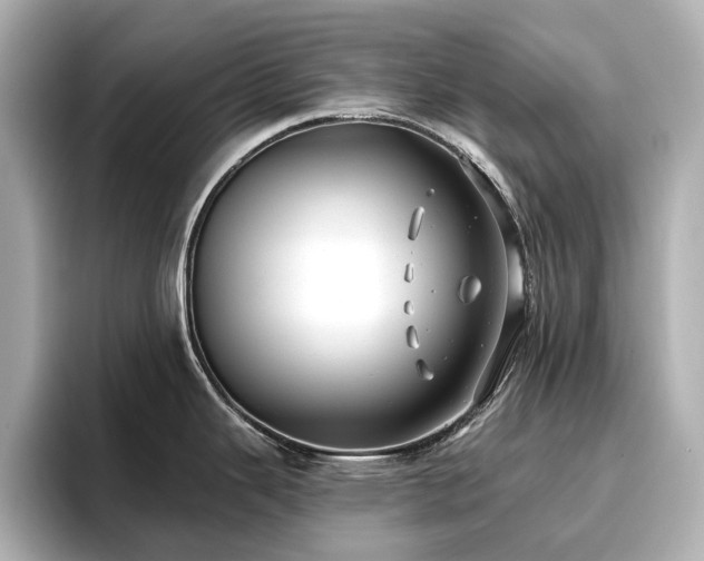 X0000096721343200802051435
