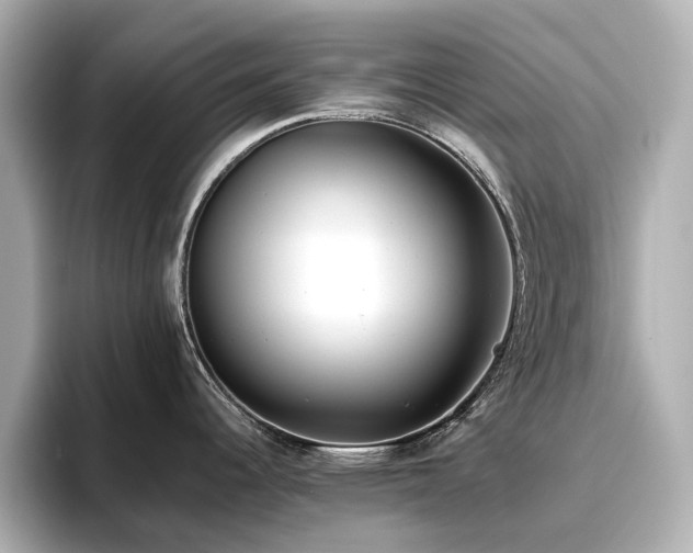 X0000096721344200802051435