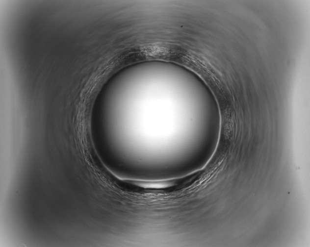 X0000096721345200802051434