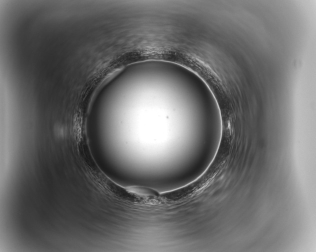 X0000096721348200802051434
