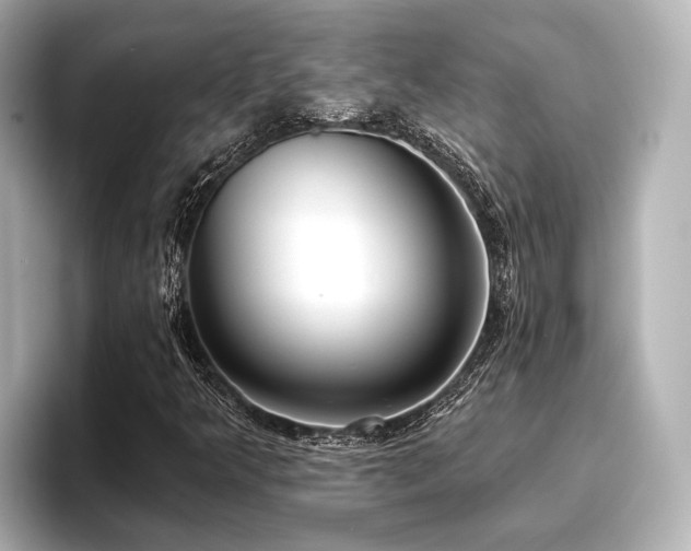 X0000096721349200802051434