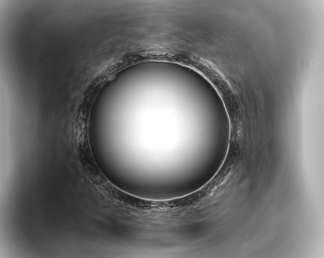 X0000096721350200802051434