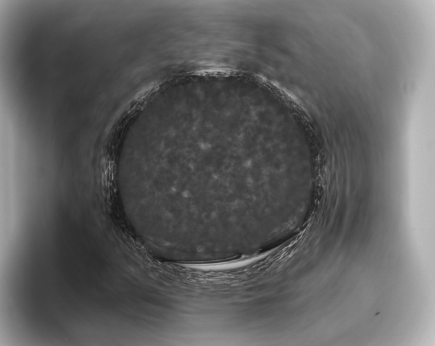 X0000096721351200802051434