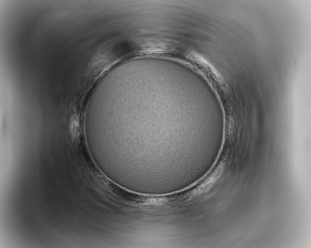 X0000096721353200802051434