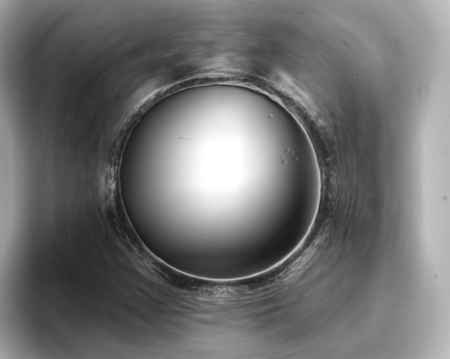 X0000096721355200802051434