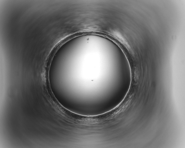 X0000096721356200802051434