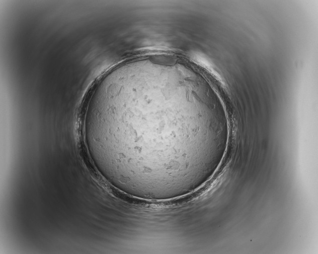 X0000096721357200802051434