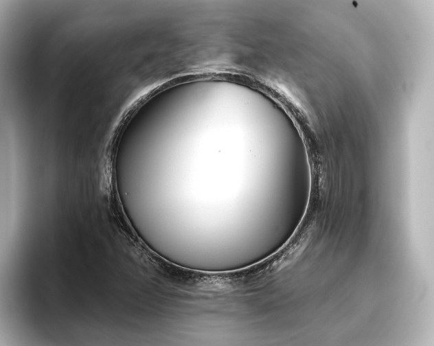 X0000096721358200802051434