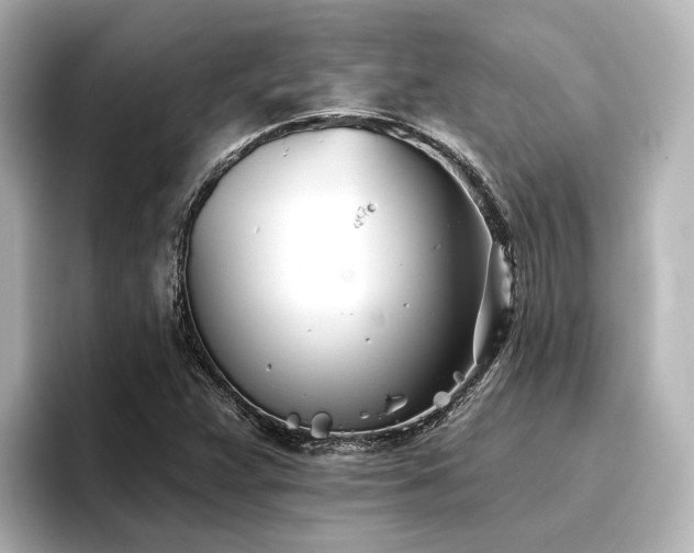 X0000096721359200802051434