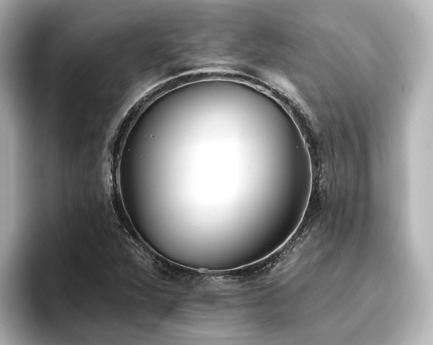 X0000096721360200802051434