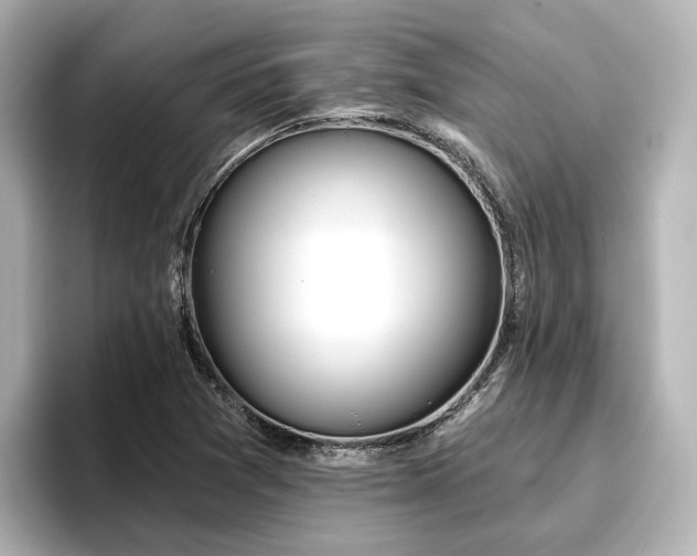 X0000096721361200802051434