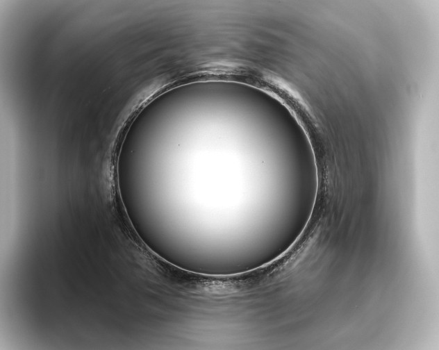 X0000096721362200802051434