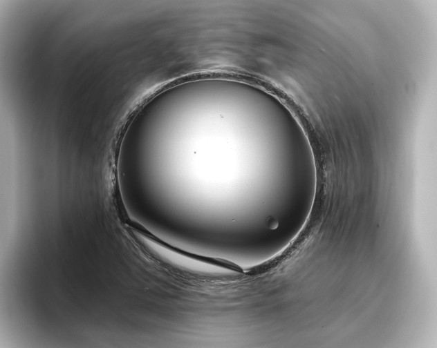 X0000096721363200802051434