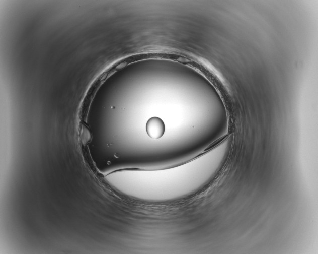 X0000096721364200802051434