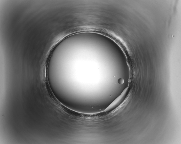 X0000096721365200802051434