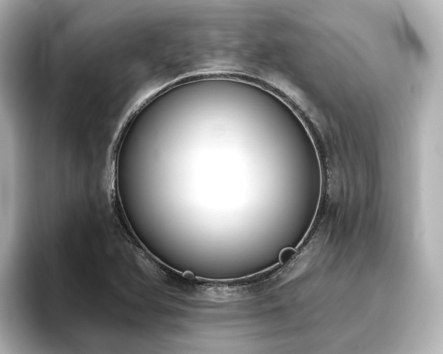 X0000096721366200802051434