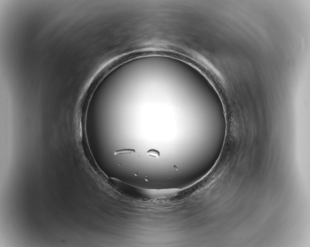 X0000096721368200802051434
