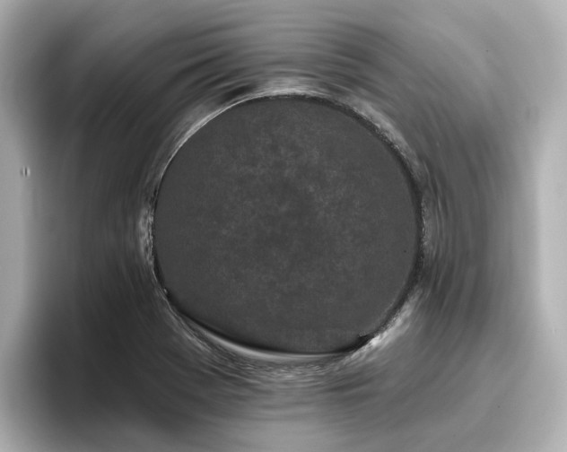 X0000096721369200802051434