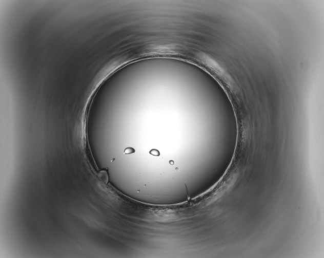 X0000096721370200802051434