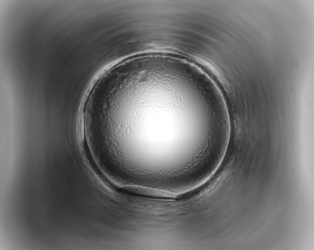 X0000096721371200802051434