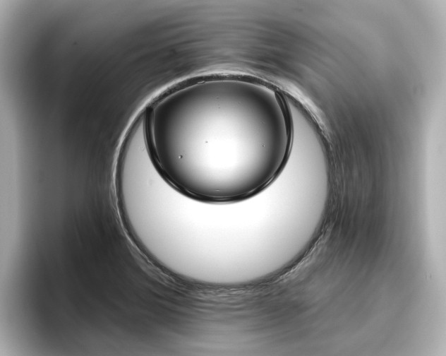 X0000096721372200802051434