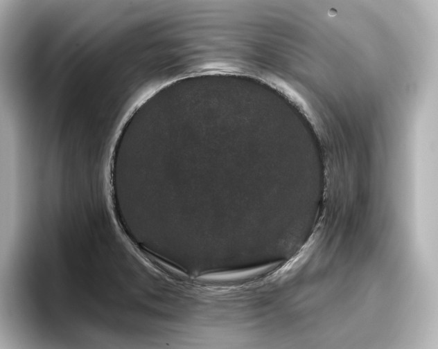 X0000096721373200802051434