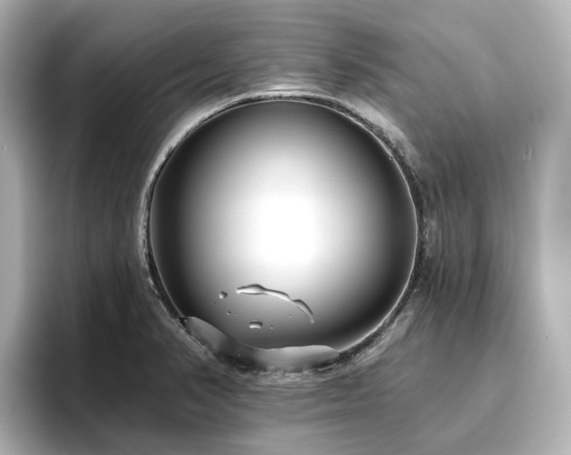 X0000096721374200802051434