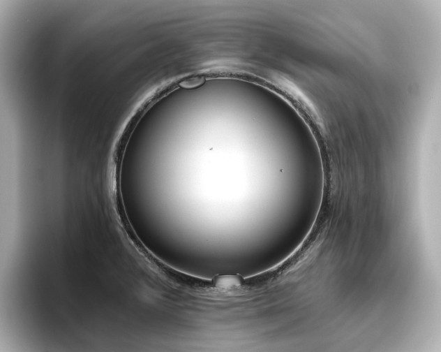 X0000096721376200802051434