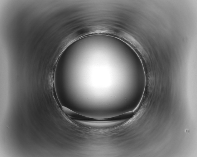 X0000096721377200802051434