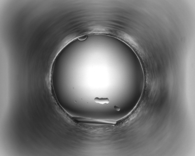 X0000096721378200802051434