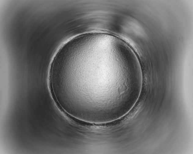 X0000096721379200802051433