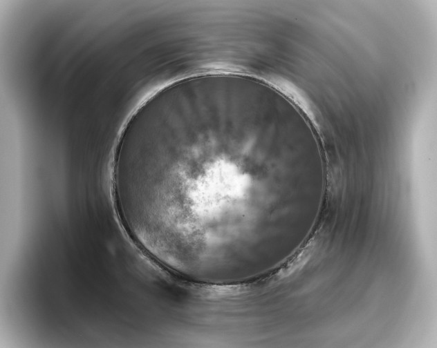 X0000096721381200802051433