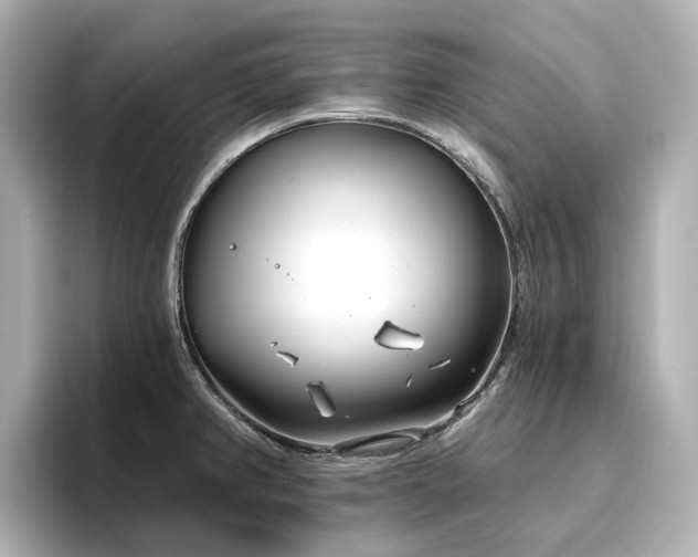 X0000096721382200802051433