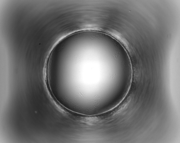 X0000096721383200802051433