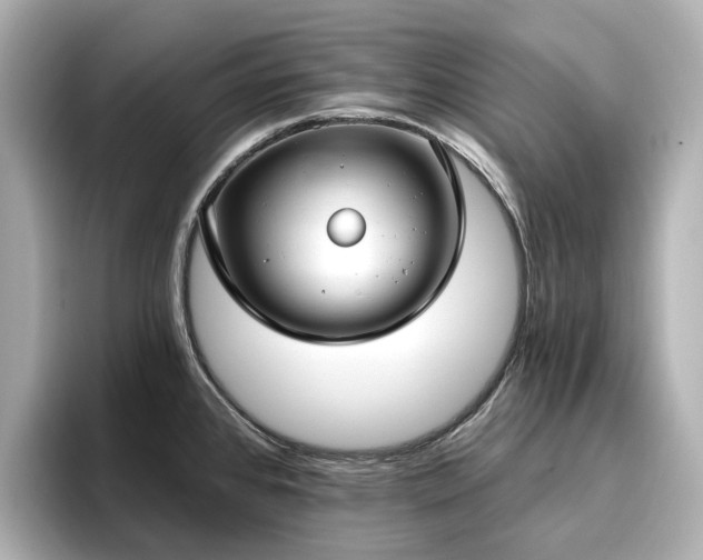 X0000096721384200802051433