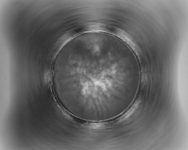 X0000096721385200802051433