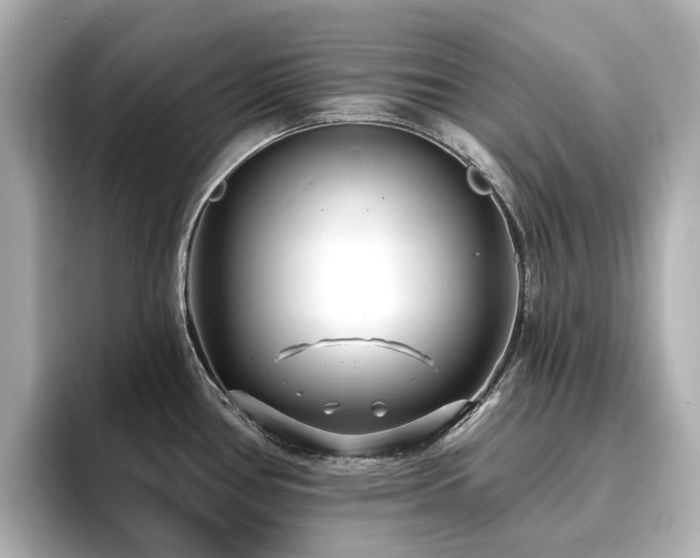X0000096721386200802051433