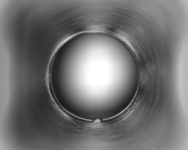 X0000096721387200802051433