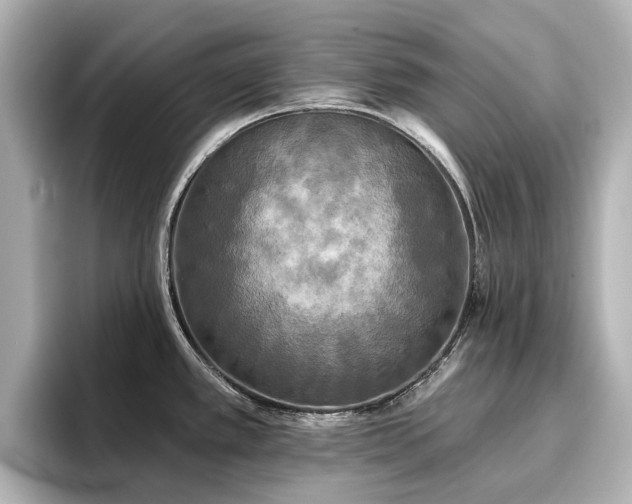 X0000096721389200802051433