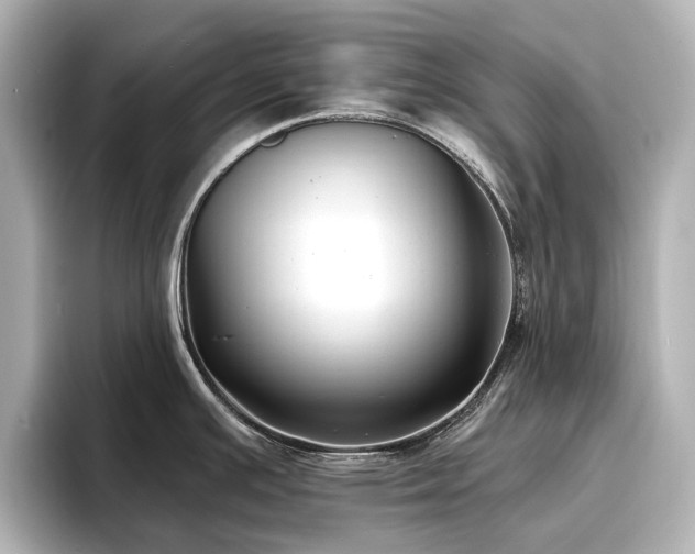 X0000096721391200802051433