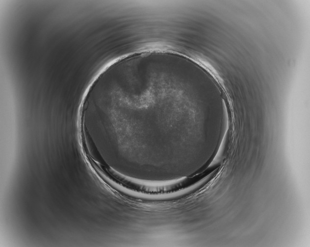 X0000096721392200802051433
