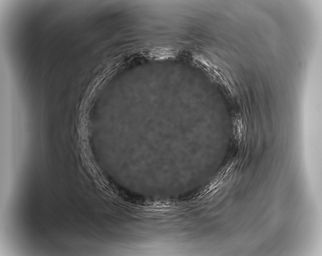 X0000096721393200802051433