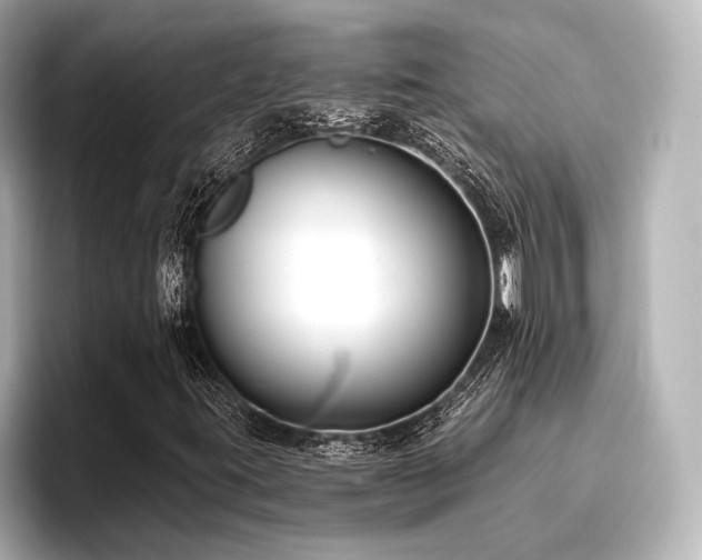 X0000096721395200802051433