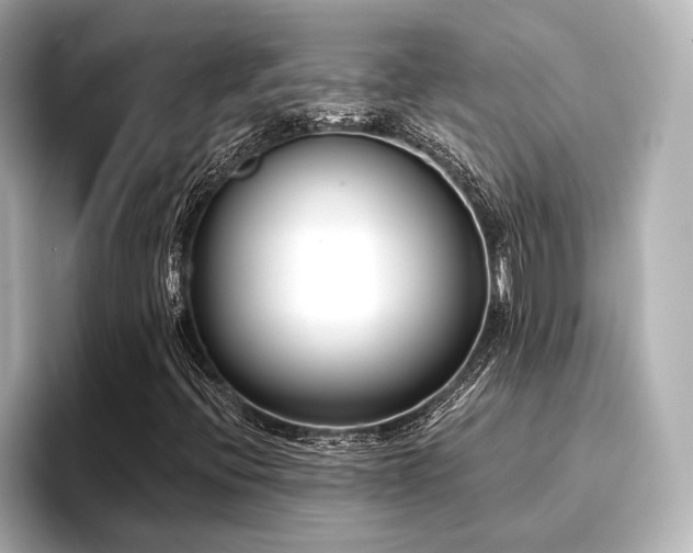 X0000096721396200802051433
