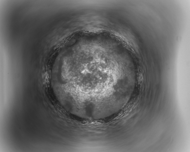 X0000096721397200802051433